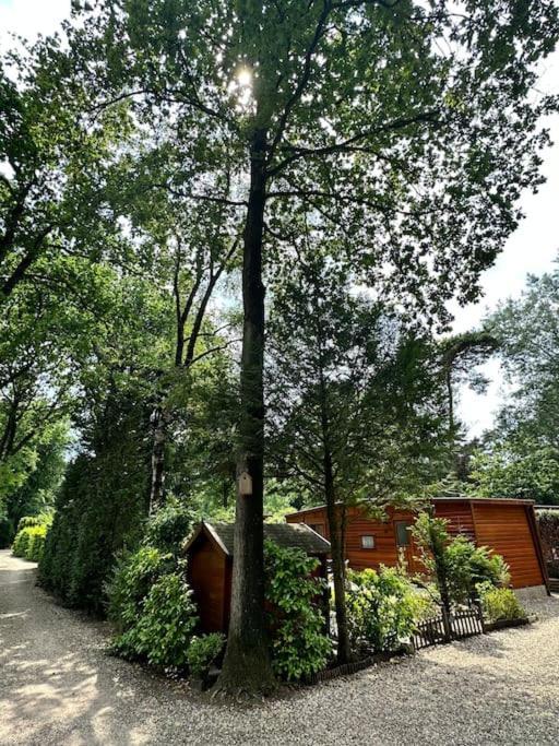Houten Chalet Op 5 Sterren Park Met Zwembad เออร์เมโล ภายนอก รูปภาพ